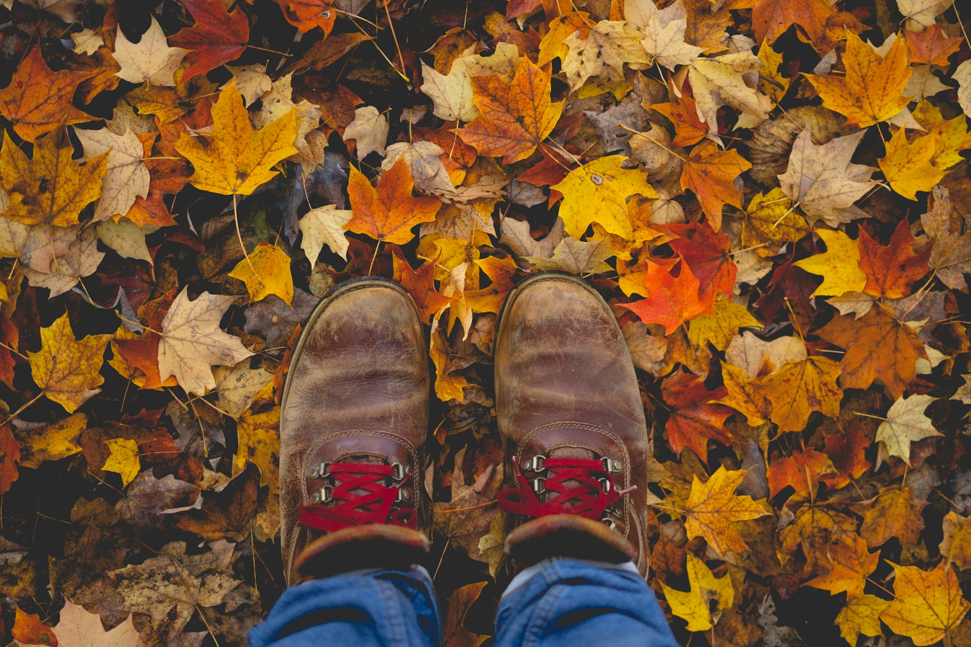 Cool Material’s Fall Guide to the Great Outdoors